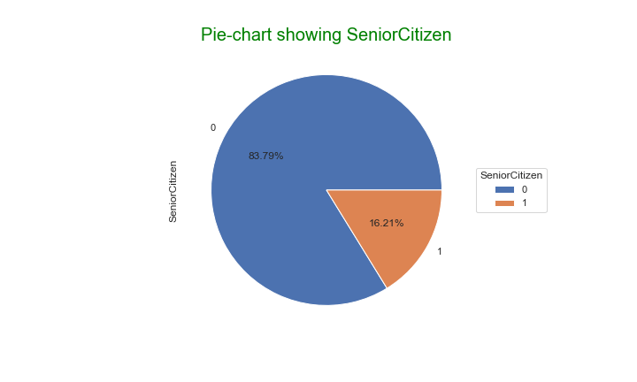 piechart seniorcitizen