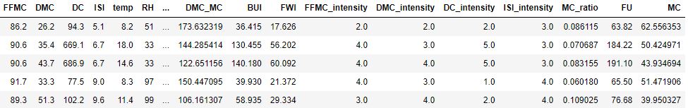 New FWI features table in addition to existing features
