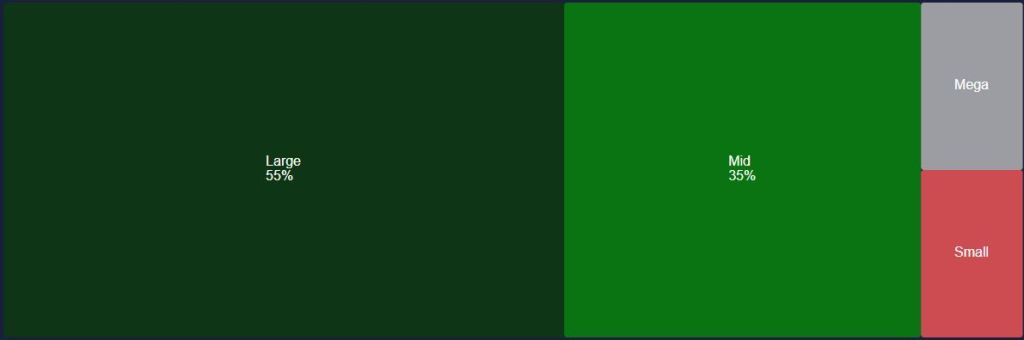 Market Capitalization (%)