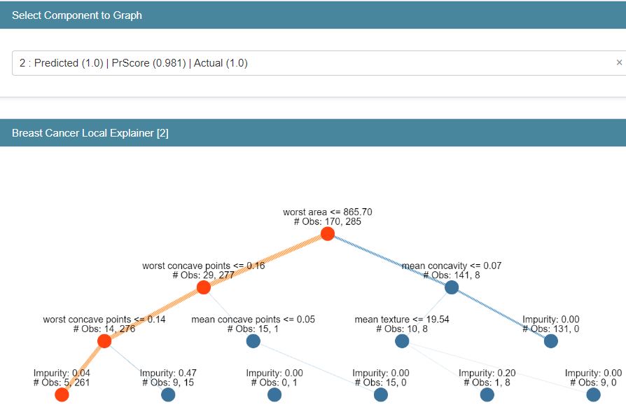 CT local explainer with PrScore=0.981 