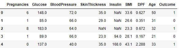The columns having numerical values