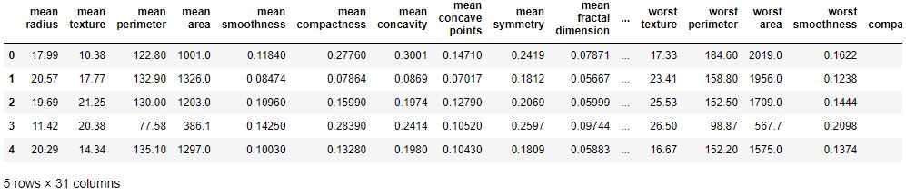 Input breast cancer dataset table (first 5 rows)