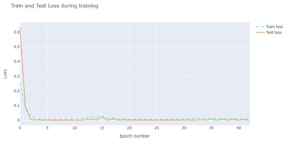 Training process loss function
