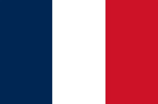 France flag mask