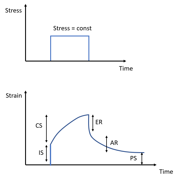 Strain response to the creep-recovery test 