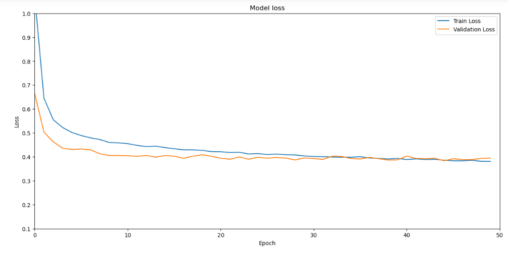 Model train/validation loss