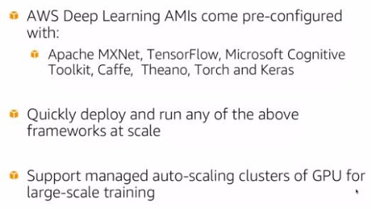 AWS Deep Learning AMIs