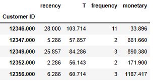 Data columns recency, T, frequency, and monetary.