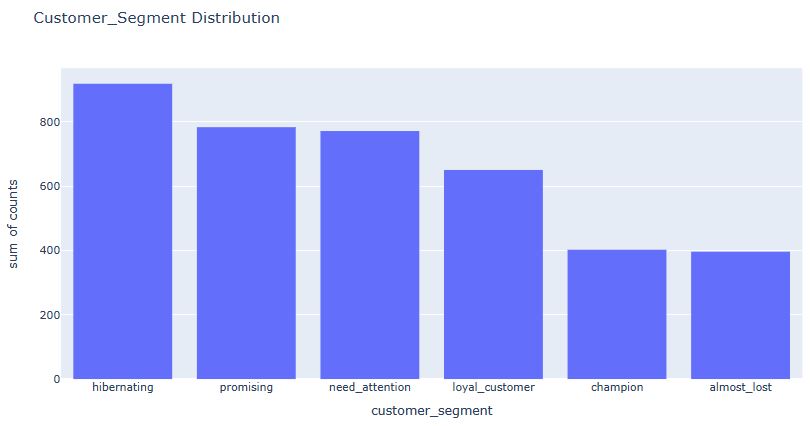 customer_segment distribution