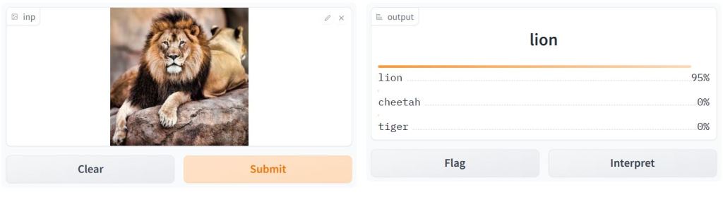 Image classification example: tabby 95%