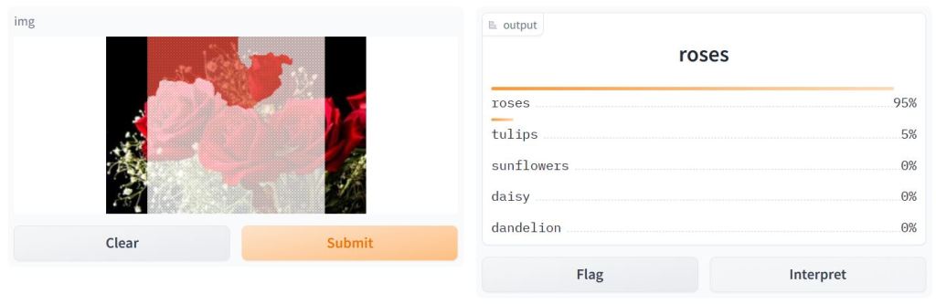 Deploying the trained CNN model in Gradio - roses