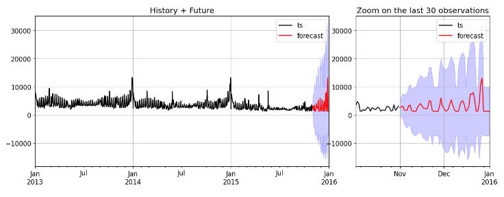 Custom model history + future forecast
