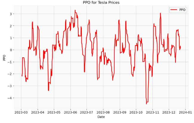 PPO centerline for Tesla prices